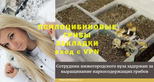 прущая мука Аркадак