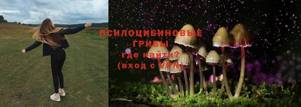 прущая мука Аркадак